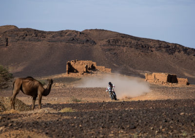 FIM 2023 Marruecos 16 - BTA Magazine