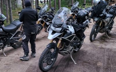 El Alma Salvaje: Senderos Forestales y la Leyenda de la Triumph Tiger