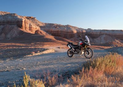 Tiger 900 Rally Pro MY24 11276 JP 29 - BTA Magazine