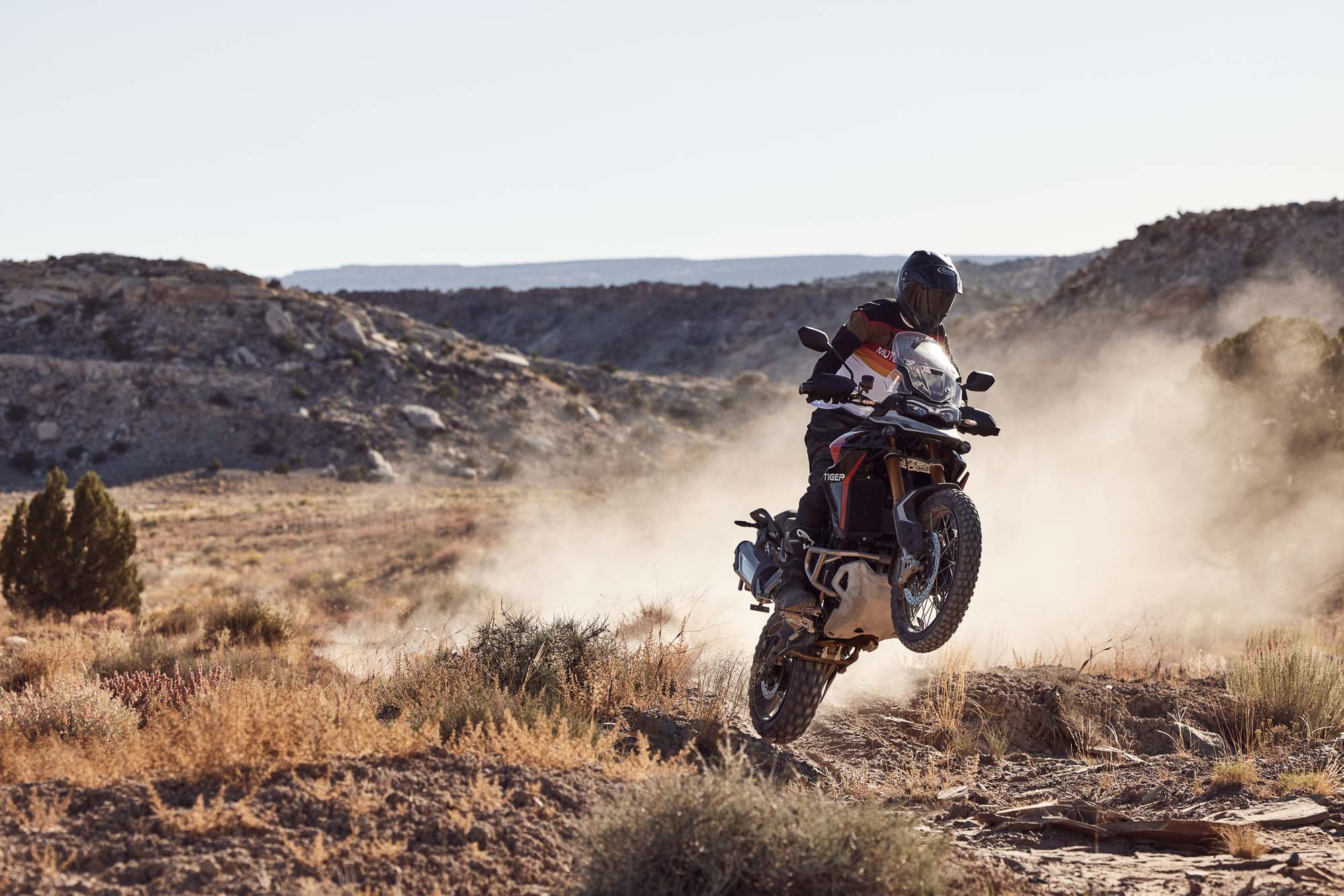 Tiger 900 Rally Pro MY24 14443 JP 33 - BTA Magazine