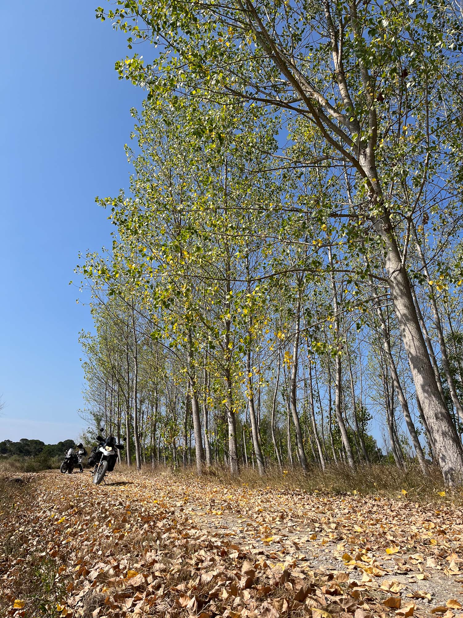 Primer plano del guardabarros delantero alto y la rueda de la Ducati DesertX Rally.