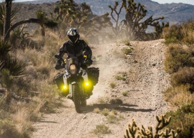 Mojave Watt 1 of 1 4 - BTA Magazine