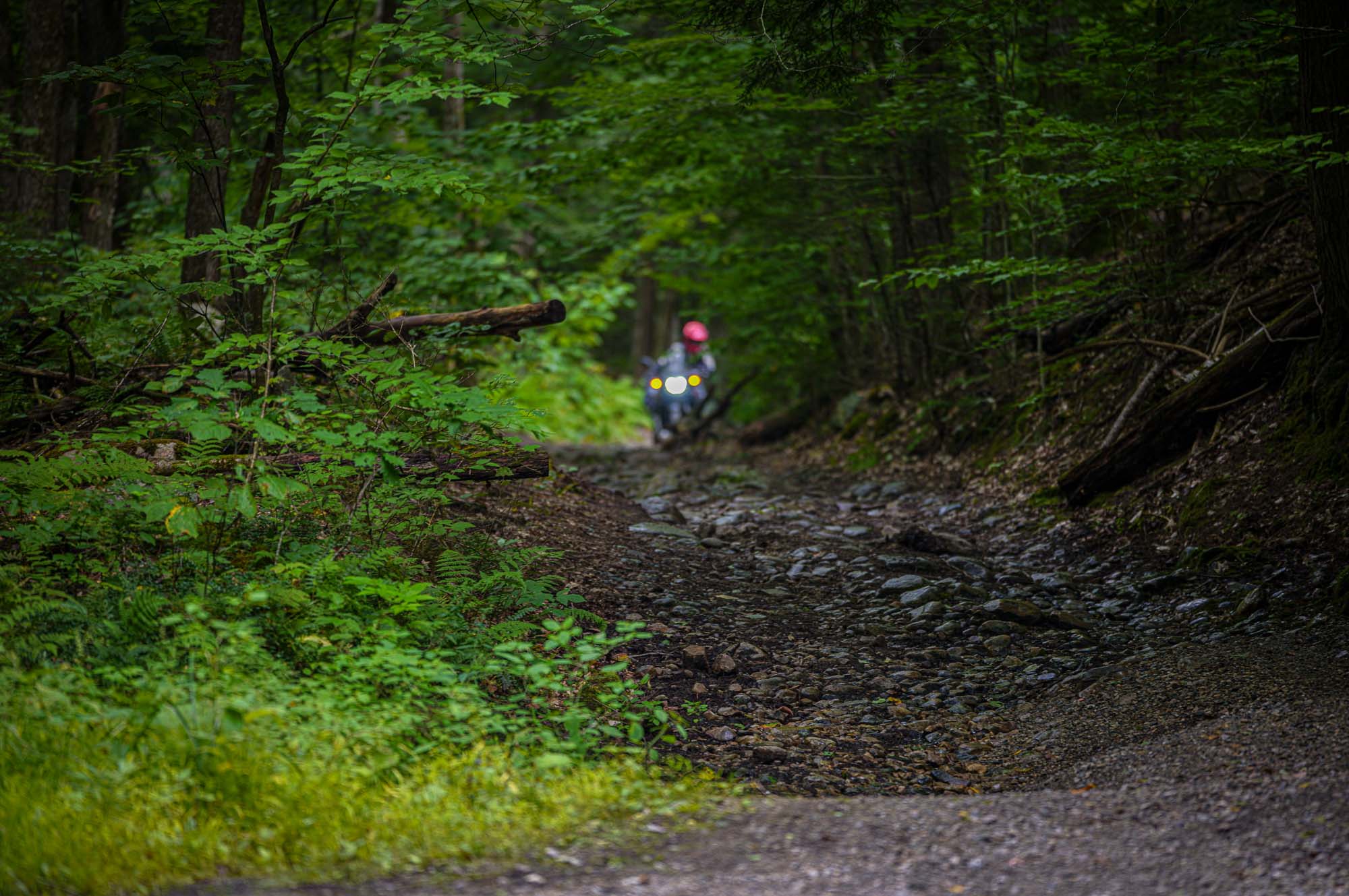Primer plano del guardabarros delantero alto y la rueda de la Ducati DesertX Rally.