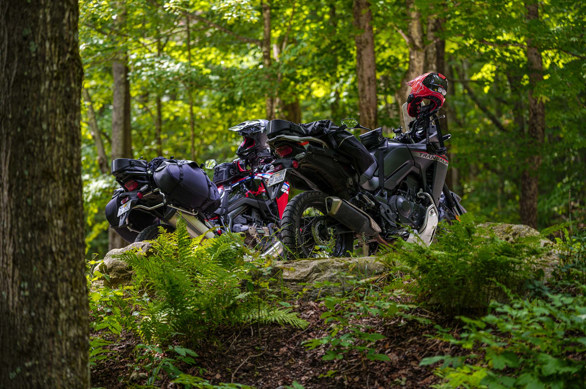 Primer plano del guardabarros delantero alto y la rueda de la Ducati DesertX Rally.