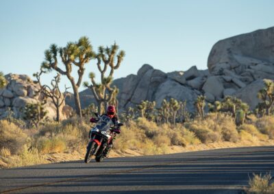 KevinWingPhoto 9826 - BTA Magazine