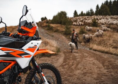 647137 MY25 KTM 390 ADVENTURE R 02 STATIC KTM 390 ADVENTURE range - BTA Magazine