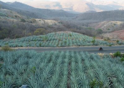 sierras de agave - BTA Magazine
