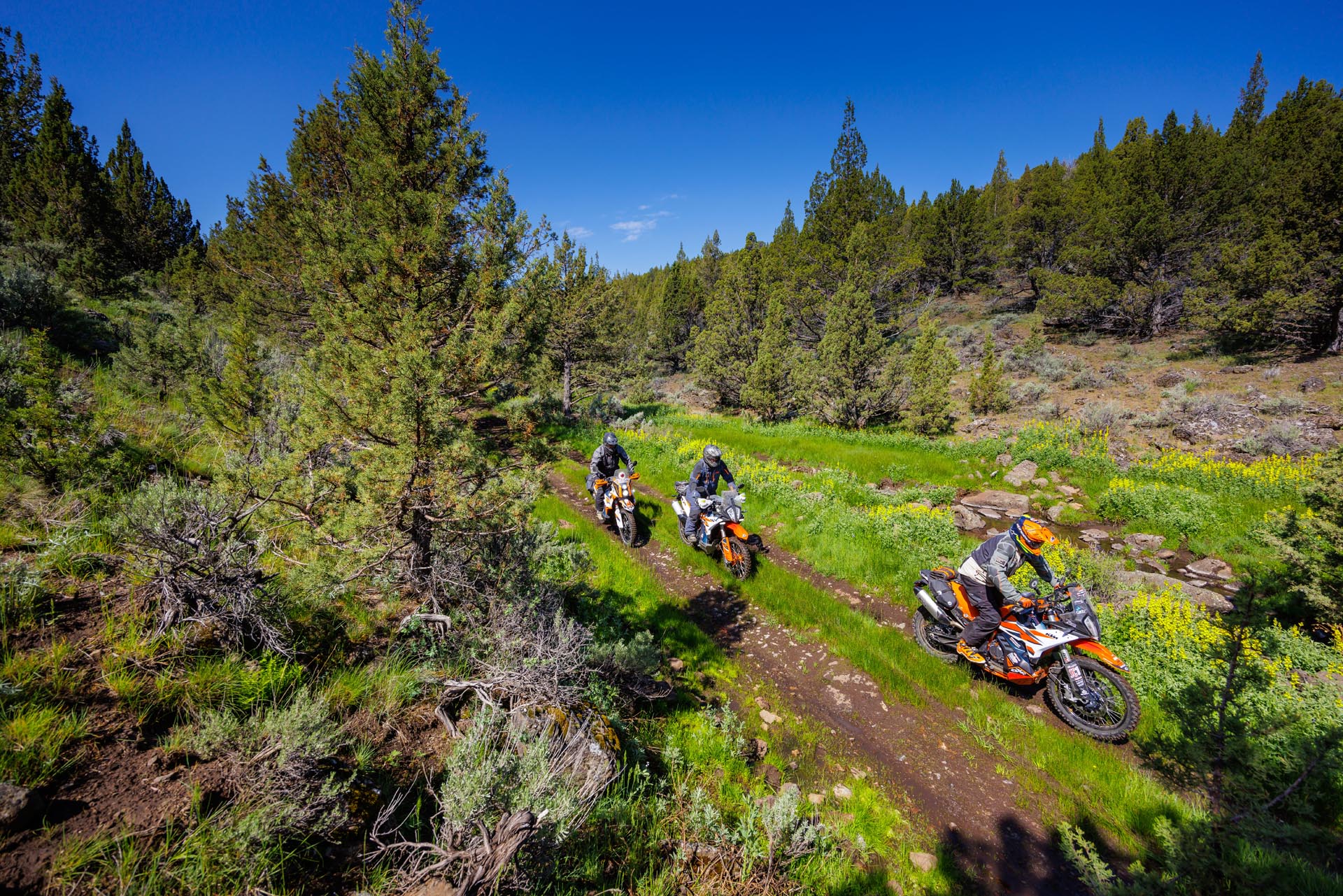 Tiendas de proveedores y de demostración de OEMs instaladas en el campamento base durante el Giant Loop Ride, mostrando lo último en equipo y motos ADV.