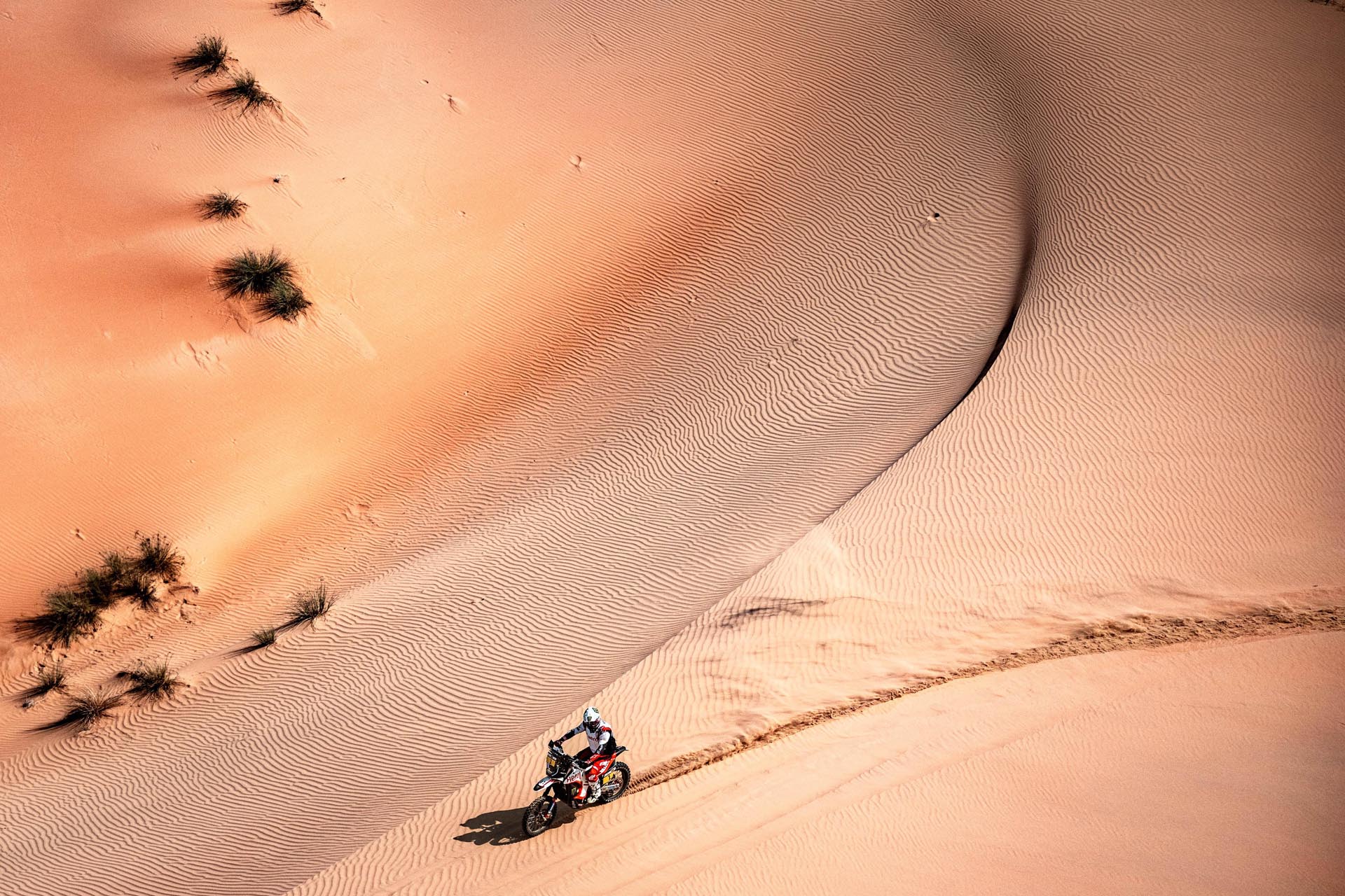 Evento de pilotaje de aventura Abu Dhabi Desert Challenge