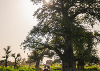 EgiAfrica 28 - BTA Magazine