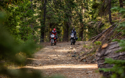Descubriendo el California North BDR: El Reto Definitivo Off-Road