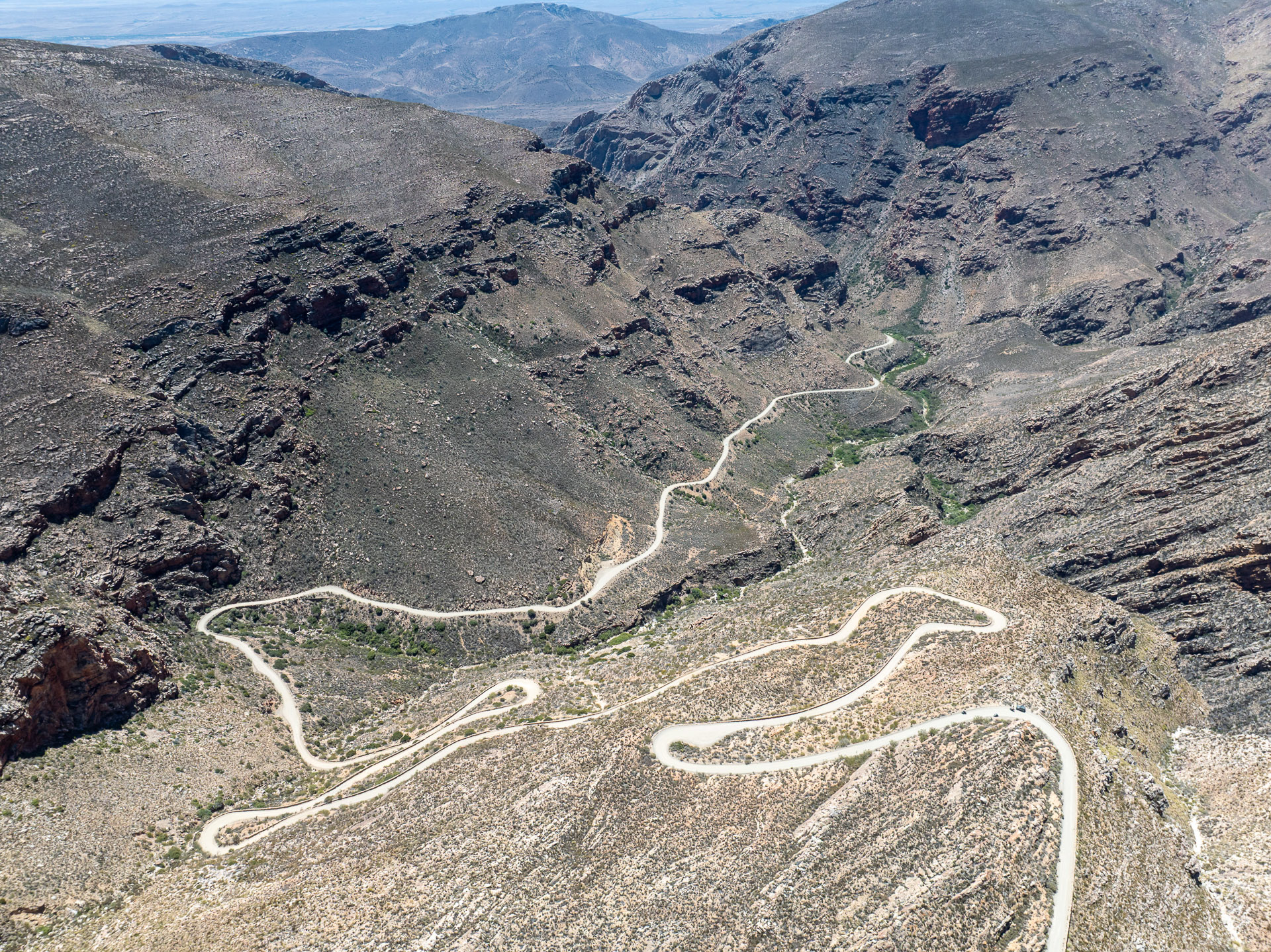 Pangea Rally