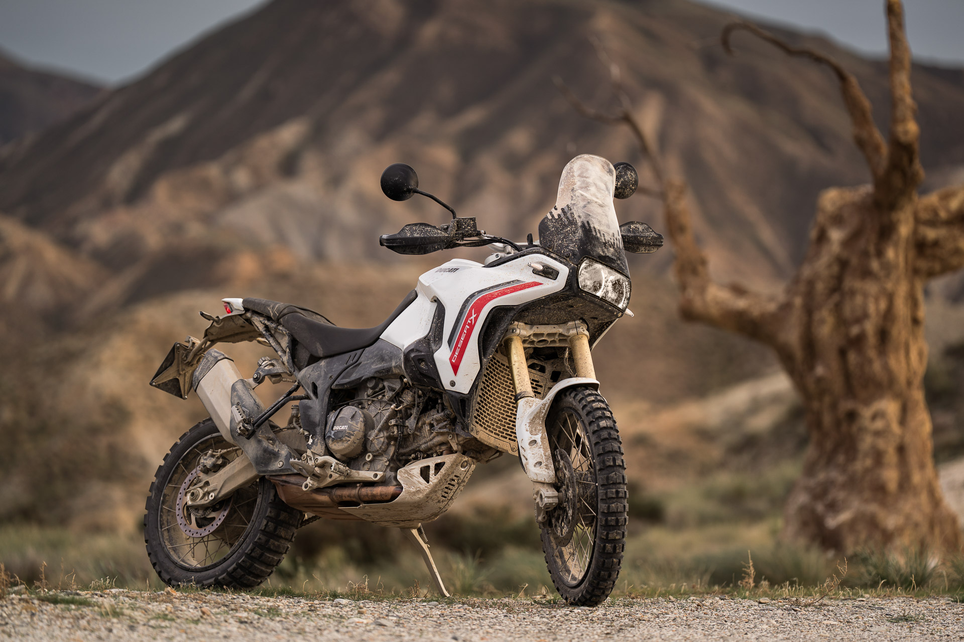Ducati Desert X 2026 reseña moto big trail