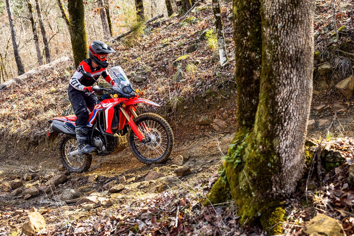 Honda CRF 300L Rally In action