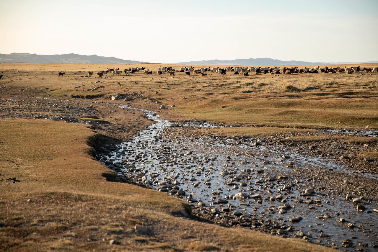 2025 Silk Way Rally