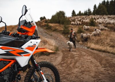 647137 MY25 KTM 390 ADVENTURE R 02 STATIC KTM 390 ADVENTURE range