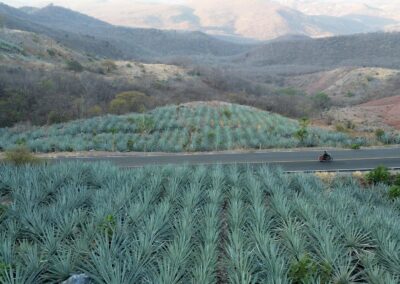 sierras de agave